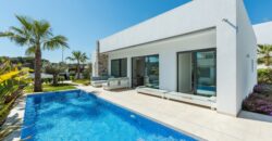 2B & 3B Super-modern luxury villa only 10 mins from beaches