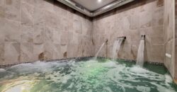 Modern Penthouse with Swimming Pool, Gym and Spa OB15 2/2