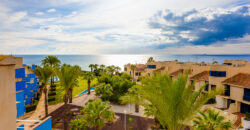 Stunning Sea View Penthouse with Swimming Pool First Line