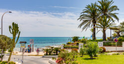 Stunning Sea View Penthouse with Swimming Pool First Line