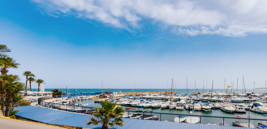 Stunning Sea View Penthouse with Swimming Pool First Line