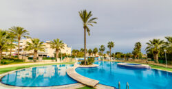 Stunning Sea View Penthouse with Swimming Pool First Line