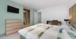 Spacious modern apartment 7 minutes from the beach