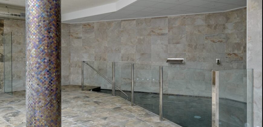 Modern Penthouse with Swimming Pool, Gym and Spa OB15 2/2