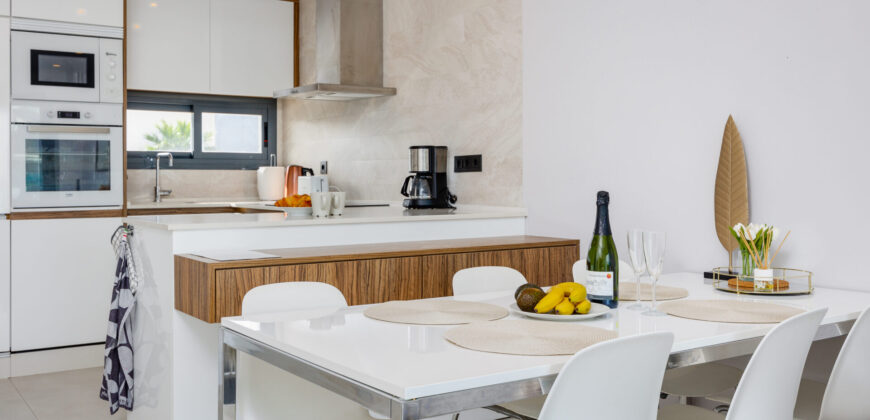 Modern Penthouse with Swimming Pool, Gym and Spa OB10 2-2