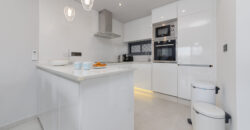 Modern Penthouse with Swimming Pool, Gym and Spa OB12 3/2