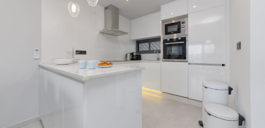 Modern Penthouse with Swimming Pool, Gym and Spa OB12 3/2