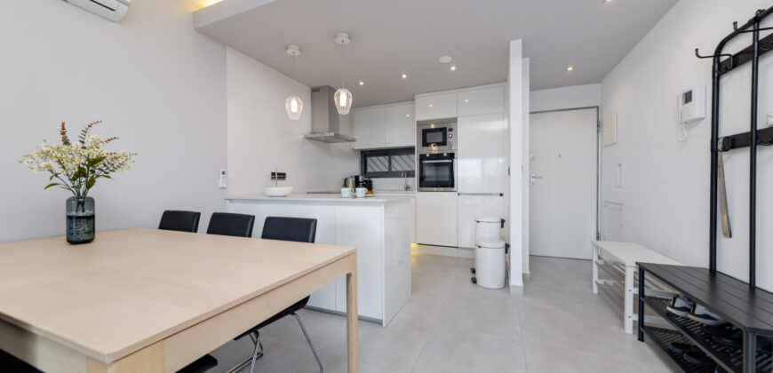 Modern Penthouse with Swimming Pool, Gym and Spa OB12 3/2