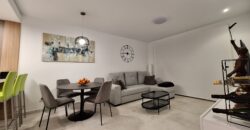 Modern Penthouse with Swimming Pool, Gym and Spa OB15 2/2