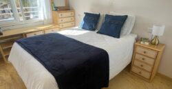 Stunning Sea View Penthouse with Swimming Pool First Line